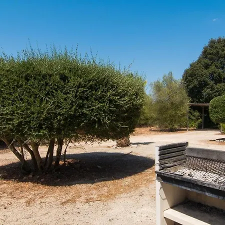 Sa Cantera Algaida (Mallorca)